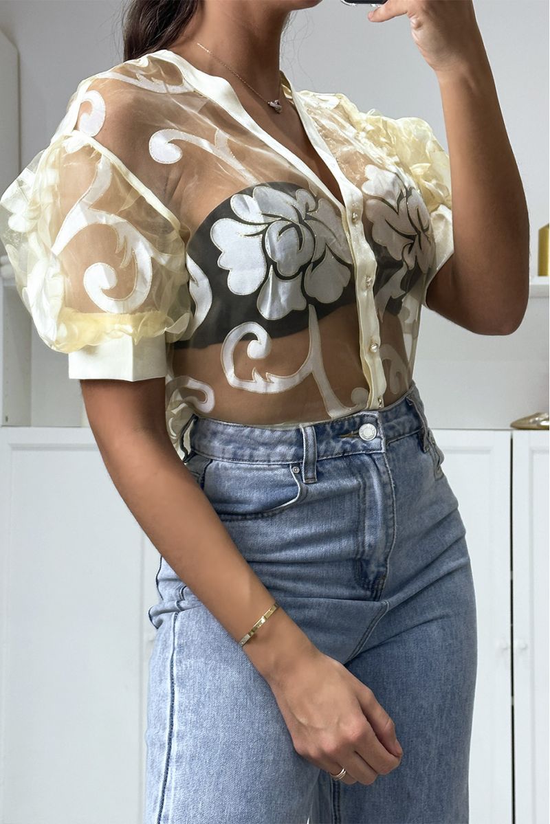 🌸Chemise transparente beige