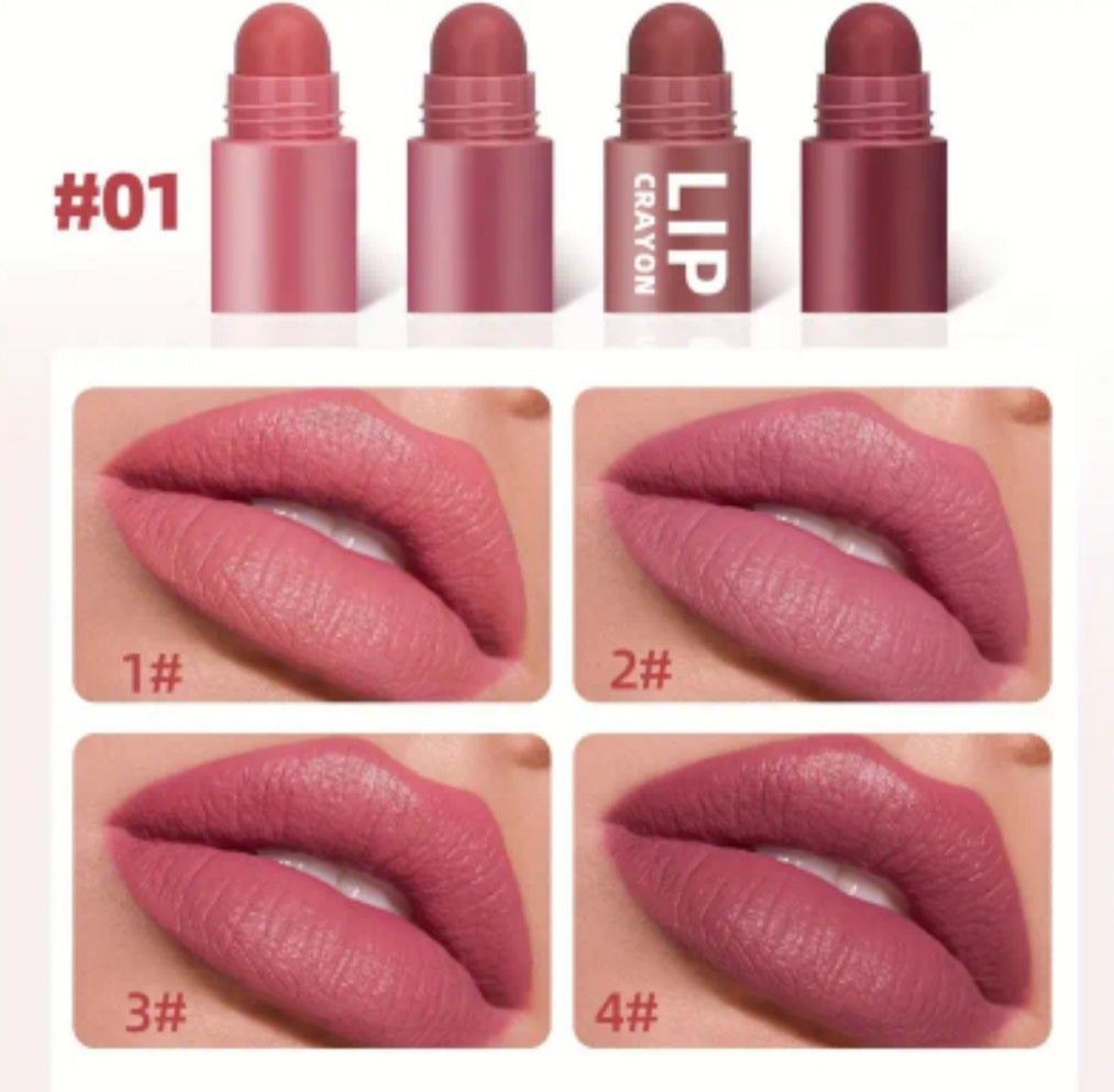 crayons à lèvres 4en1