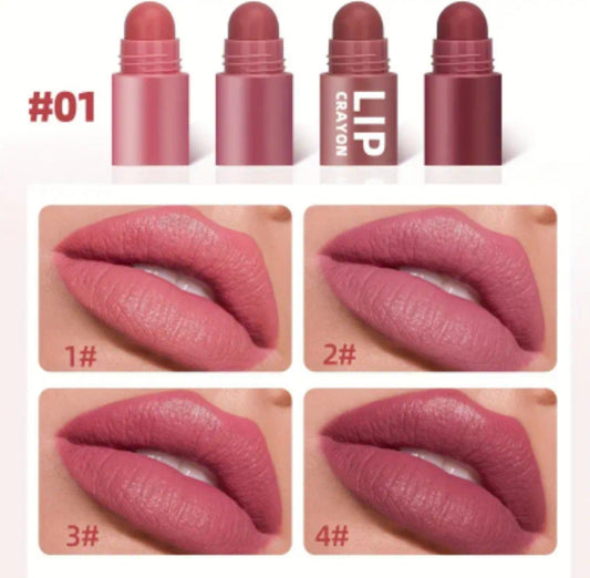 crayons à lèvres 4en1