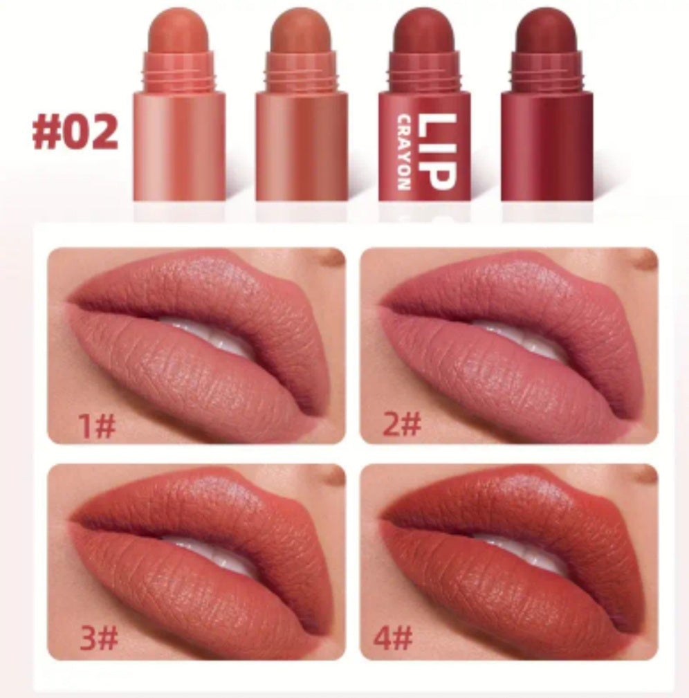 crayons à lèvres 4en1