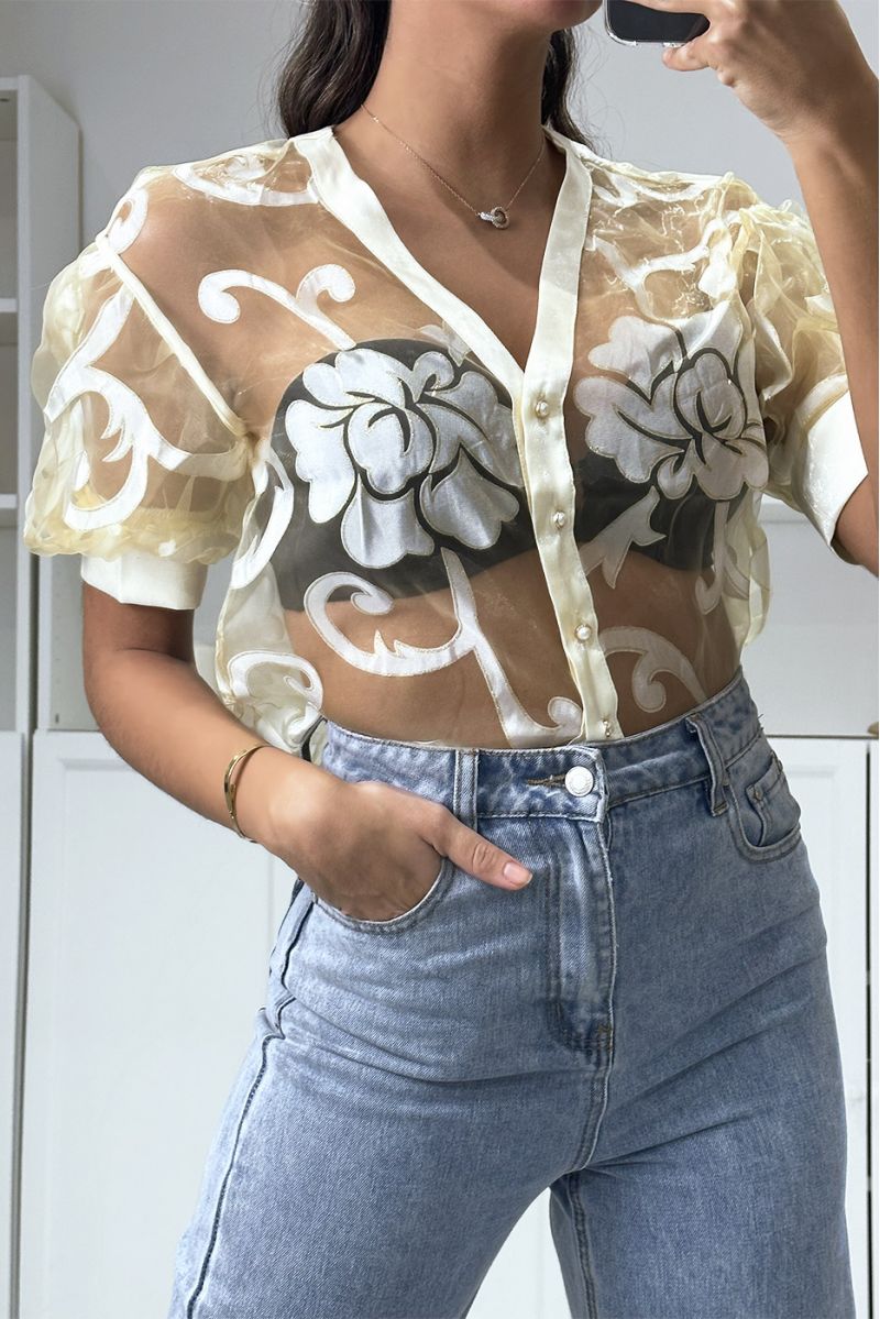 🌸Chemise transparente beige
